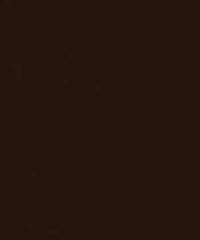 Rembrandt 598760 Auberge Brown
