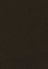 Rembrandt 598763 Brownberry