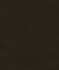 Rembrandt 598763 Brownberry