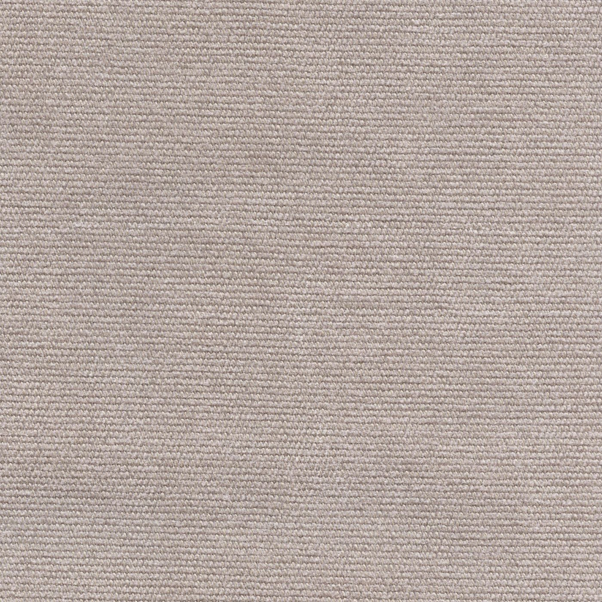 Brushed Cotono 192868 Isula