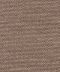 Brushed Cotono 192869 Vast Land