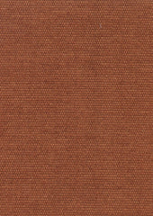 Brushed Cotono 192872 Spicy