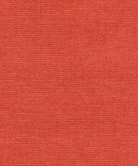 Brushed Cotono 192874 Razzel