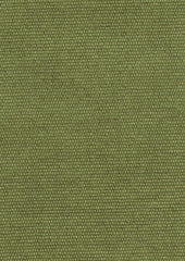 Brushed Cotono 192881 Moss Me