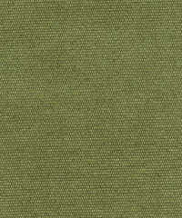 Brushed Cotono 192881 Moss Me