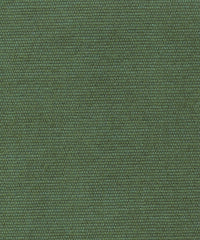 Brushed Cotono 192882 Juniper