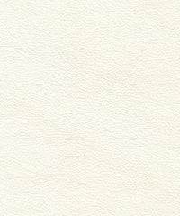 Cadence H085 Snow