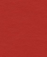 Cadence H087 Ruby Tuesday