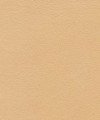 Cadence H094 Carton