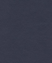 Cadence H097 Sailor