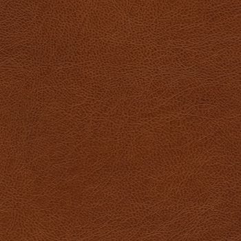 Cadence H098 Aberdeen