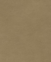 Cadence H100 Naked Grey