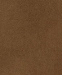 Cadence H104 Amber Sugar