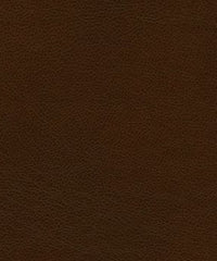 Cadence H108 Molasses