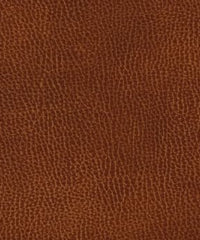 Cadence H115 Desert Sky