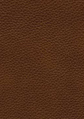 Rockley Cl229 Saddle