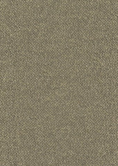 Cypress CUE10053 Barker