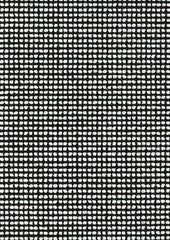 Acacia CUE10076 Wisp