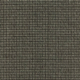 Acacia CUE10077 Bramble