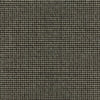 Acacia CUE10077 Bramble