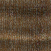 Acacia CUE10079 Grain