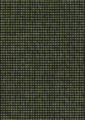 Acacia CUE10080 Arbor