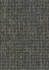 Acacia CUE10081 Grove