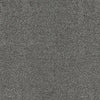 Barbossa CUE10088 Stoney