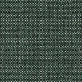 Barbossa CUE10098 Kale