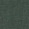 Barbossa CUE10098 Kale