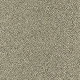Ash CUE10106 Ayers