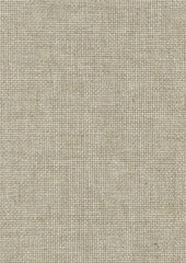 Spruce CUE10163 Janus