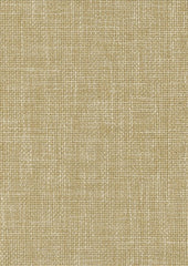 Spruce CUE10168 Stratum