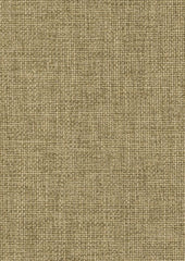 Spruce CUE10169 Node