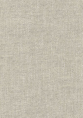 Elm CUE10173 Momentum