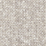 Quercus CUE10207 Crop