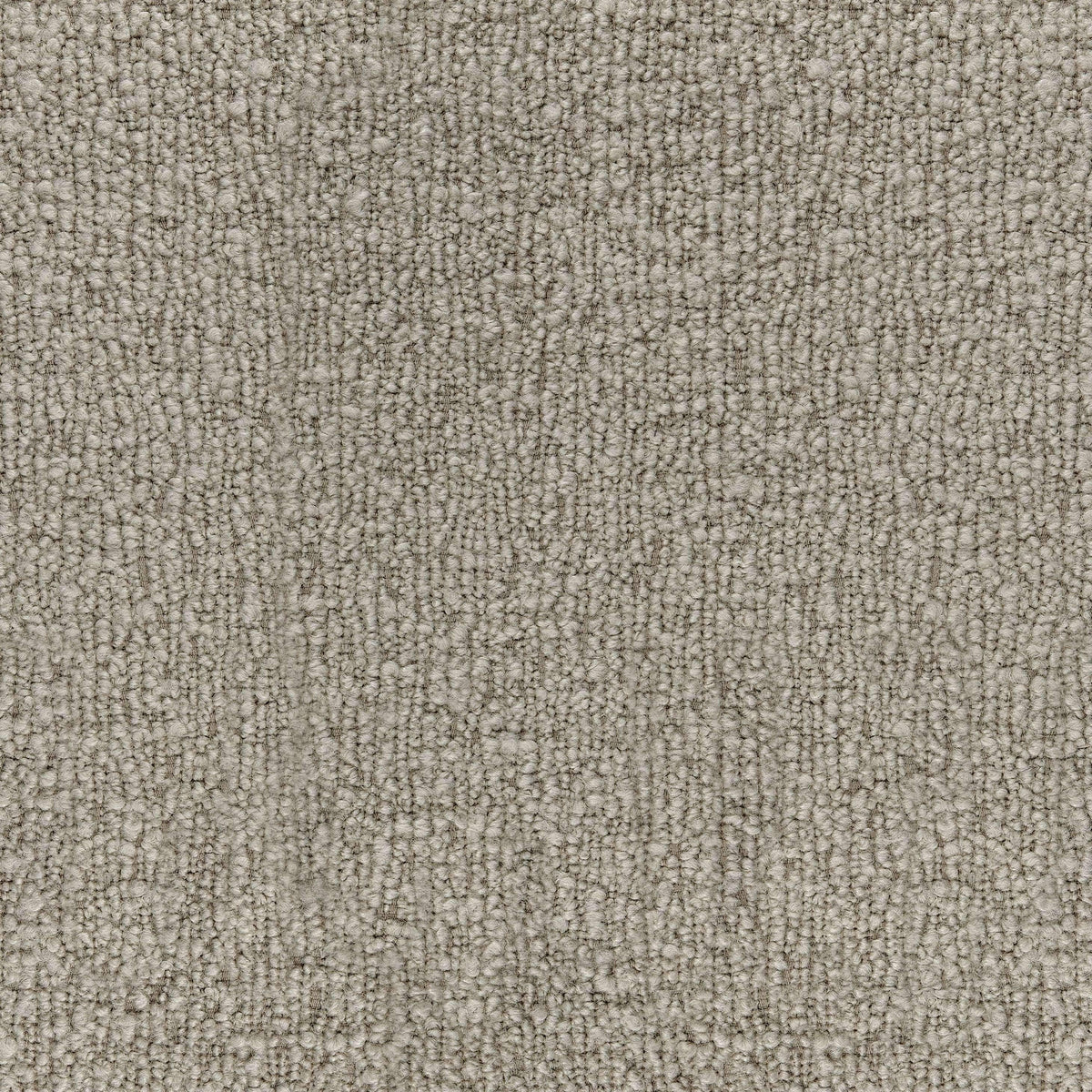 Arbres CUE10232 Rick