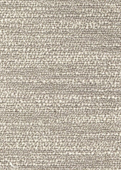 Cornus CUE10243 Sparks