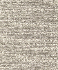 Cornus CUE10243 Sparks