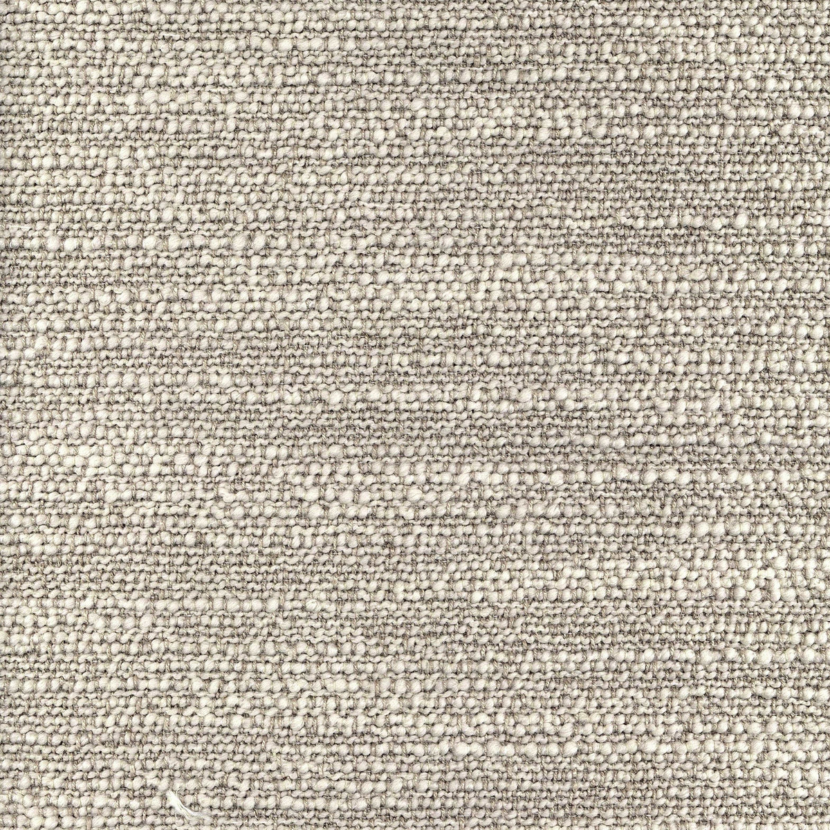 Cornus CUE10243 Sparks