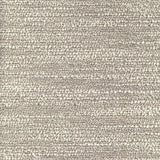 Cornus CUE10243 Sparks