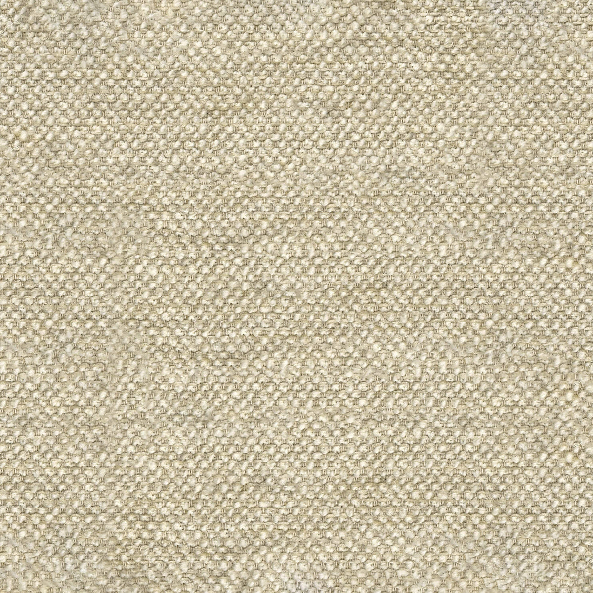Papyrus CUE10304 Zane