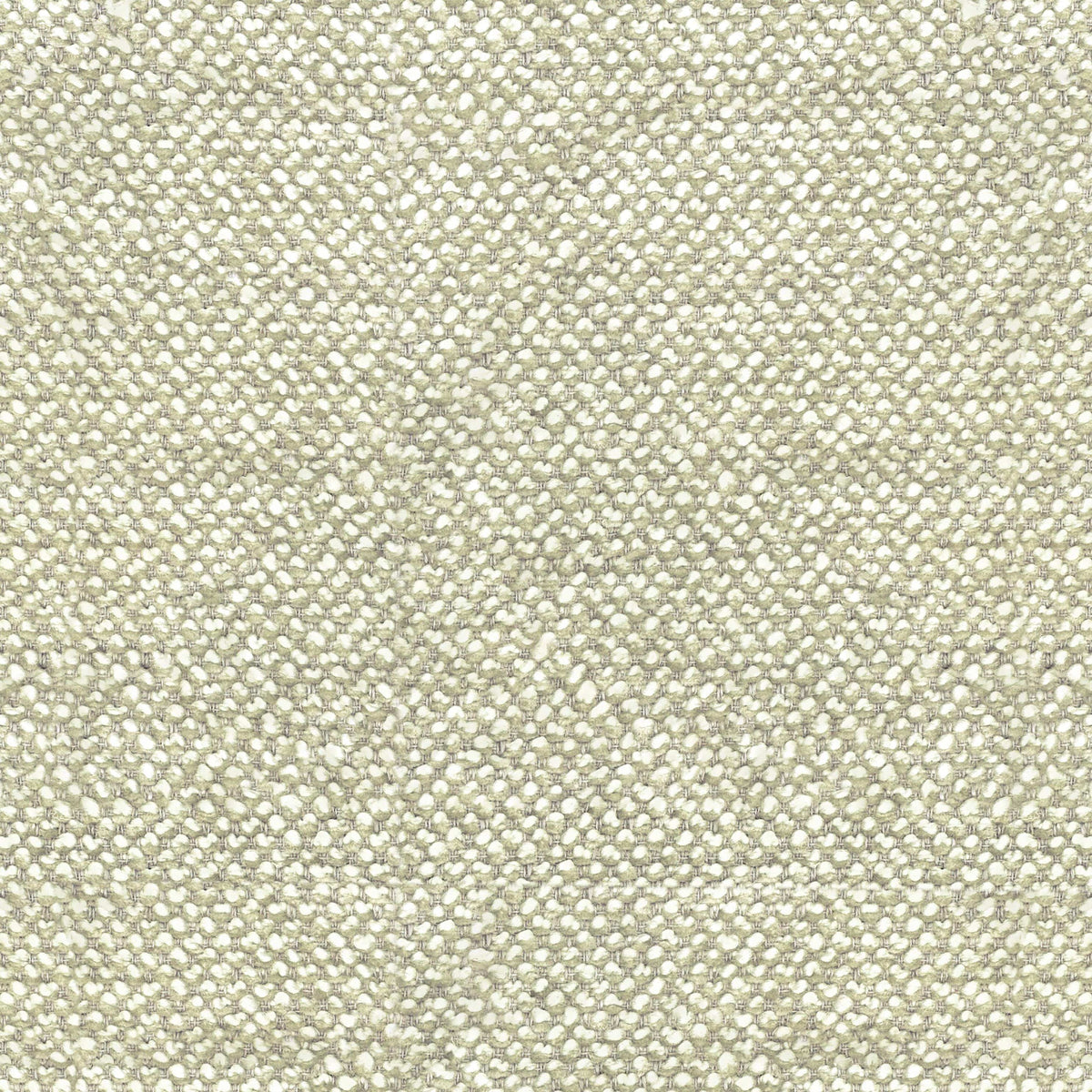 Papyrus CUE10305 Ash