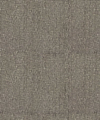 Yucca CUE10327 Aloette