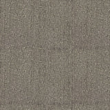Yucca CUE10327 Aloette