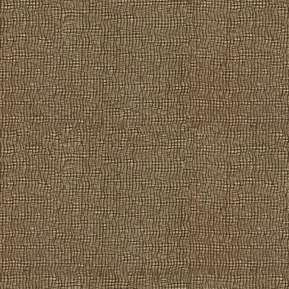 Yucca CUE10329 Fern