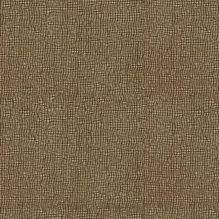 Yucca CUE10329 Fern