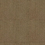 Yucca CUE10329 Fern