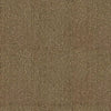 Yucca CUE10329 Fern