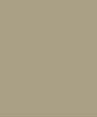 Jive CUE10406 Tan